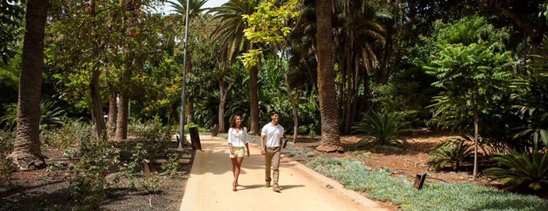 Tropischer Garten mit Palmen im Parque García Sanabria