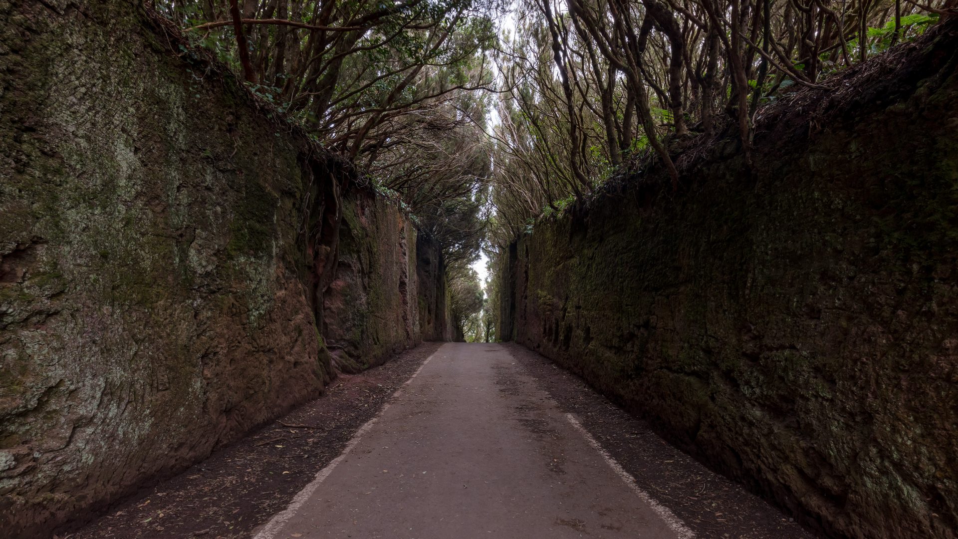 Anaga Rural Park landscape, Tenerife